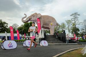 BIB: 
                            <button type="button" onclick="openModal(26528409)" class="btn btn-primary btn-sm float-right btn-popup" data-toggle="modal" data-target=".modal-high-quality">
                        <i class="fas fa-shopping-cart"></i> Add to Cart
                    </button>
                                            <button type="button" onclick="isThisMe(26528409, true)" class="btn btn-success btn-sm float-right btn-popup btn-isme hidden" data-toggle="tooltip" data-placement="bottom" title="นี่คือรูปของคุณใช่ไหม คลิกที่นี่เพื่อเอาเข้าอัลบั้ม">
                        <i class="fas fa-plus"></i> Add to album
                    </button>
                    <button type="button" onclick="isThisMe(26528409, false)" class="btn btn-warning btn-sm float-right btn-popup btn-isnotme hidden">
                        <i class="fas fa-ban"></i> Remove from album
                    </button>